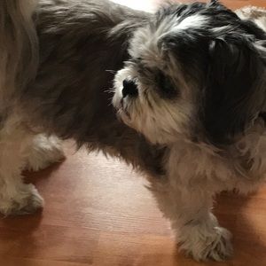 Meet your Posher, Cynthia